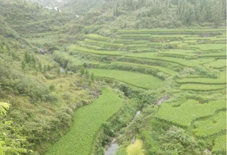 銅仁市萬(wàn)山區(qū)2018年水土流失重點(diǎn)治理龍溪小流域水土保持生態(tài)治理工程