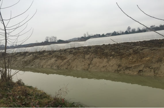 黔西縣甘棠鎮大寨村蔬菜大棚基地龍潭河河道清淤工程